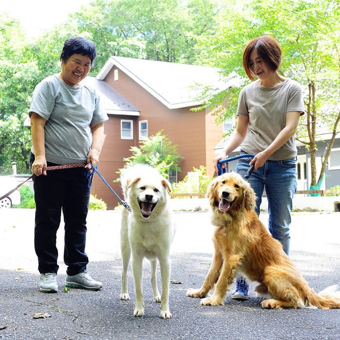 ペット・合宿